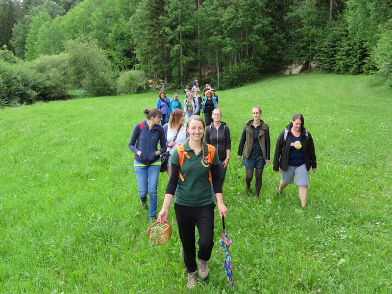Wildkraeuterexpertin Gerda Holzmann und die Teilnehmerinnen der Wildkraeuterwanderung im Waldviertel.