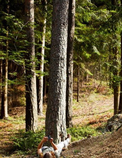 Biologin Gerda Holzmann aus dem Waldviertel liegt im Wald auf dem Waldboden und fotografiert einen großen Baum von unten nach oben.