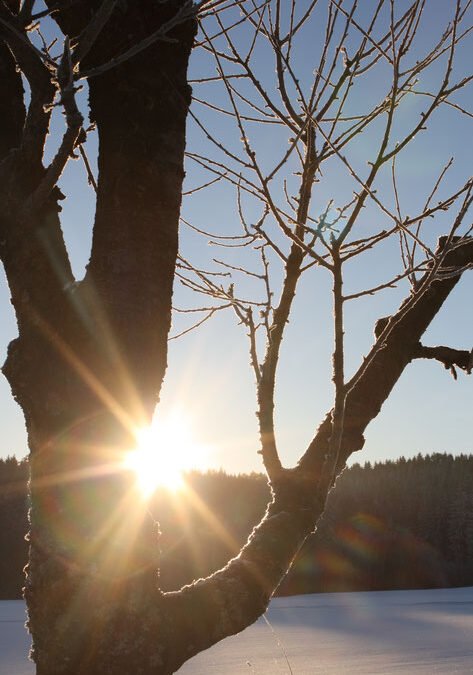 Die Kraft der Sonne kehrt zurück