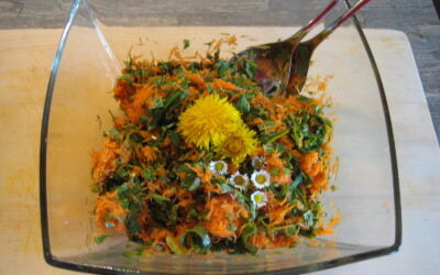 Wildkräuter-Karottensalat