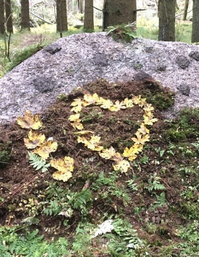 Ein buntes Blaetterherz auf einem bemoosten Stein. Erlebe das Natur Retreat im Jahreskreis zum Thema Herbsteinkehr. Veranstaltet von Wildkraeuterguide Gerda Holzmann von Gruenkraft im Waldviertel.