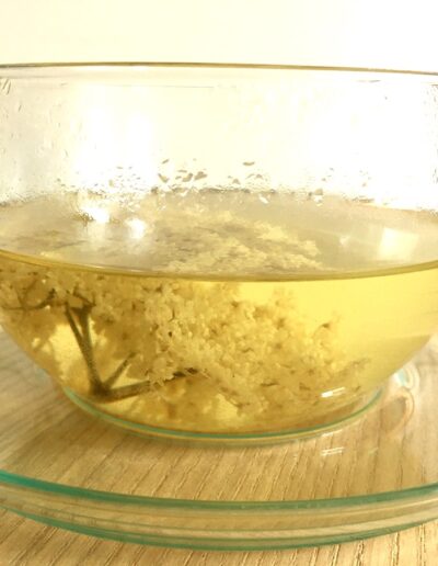 Frischkräutertee GrünKraft Gerda Holzmann