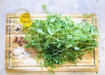 Vogelmiere Pesto Zutaten