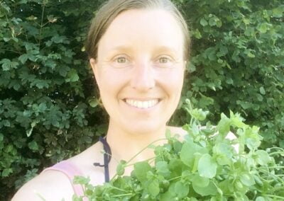 Wildkraut Vogelmiere Strauß