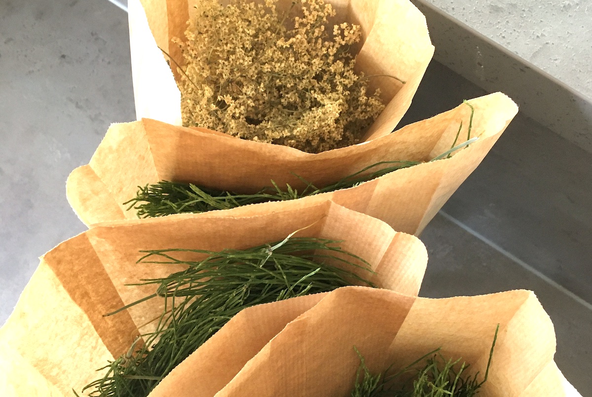 Gruenkraft Gerda Holzmann Kraeuter lagern Papier Gruenkraft Gerda Holzmann Kraeuter lagern Papier