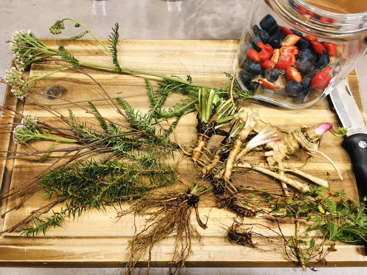 Kraeuterbitter selber machen - Kraeuter verarbeiten Kraeuterbitter selber machen - Kraeuter verarbeiten